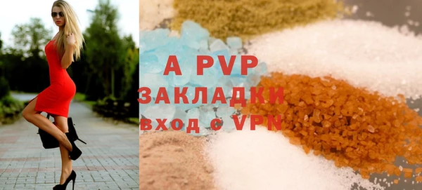 крисы Аркадак