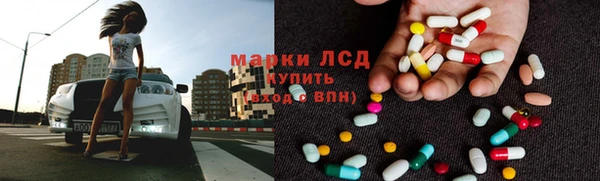 крисы Аркадак