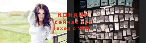 прущие крисы Арсеньев