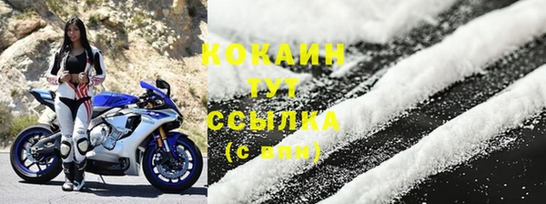крисы Аркадак