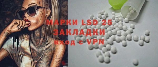 крисы Аркадак