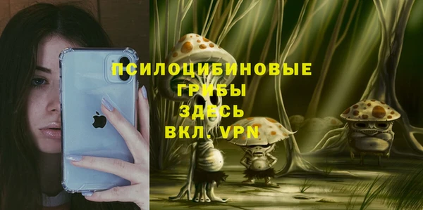 альфа пвп Армянск